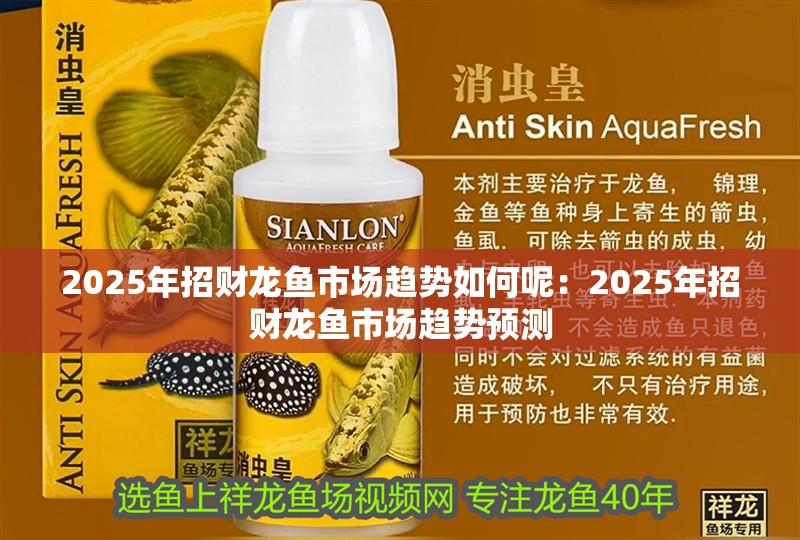2025年招財龍魚市場趨勢如何呢：2025年招財龍魚市場趨勢預測