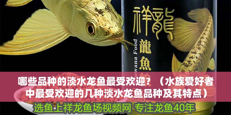 哪些品種的淡水龍魚最受歡迎？（水族愛好者中最受歡迎的幾種淡水龍魚品種及其特點）