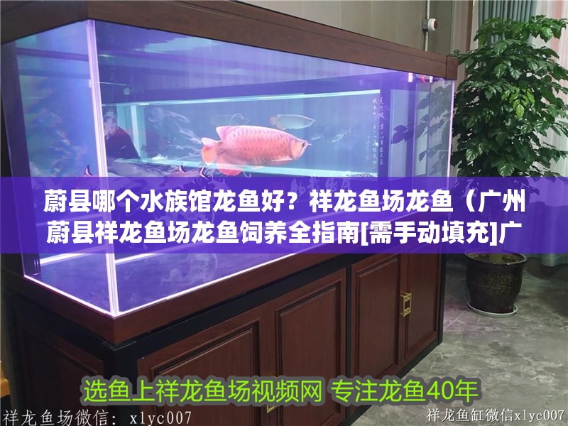 蔚縣哪個水族館龍魚好？祥龍魚場龍魚（廣州蔚縣祥龍魚場龍魚飼養全指南[需手動填充]廣州龍魚祥龍魚場）