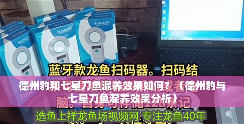 魚缸用增氧泵價格是多少:魚缸增氧機-xtrac增氧機-xtrac增氧機 德州豹和七星刀魚混養效果如何?(德州豹與七星刀魚混養效果分析) 龍魚百科 德州豹和七星刀魚混養效果如何?(德州豹與七星刀魚混養效果分析) 德州豹和七星刀魚混養效果如何?(德州豹與七星刀魚混養效果分析) 龍魚百科