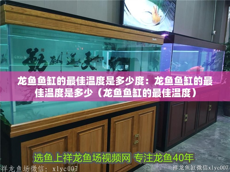 龍魚魚缸的最佳溫度是多少度：龍魚魚缸的最佳溫度是多少（龍魚魚缸的最佳溫度） 龍魚魚缸的最佳溫度是多少度：龍魚魚缸的最佳溫度是多少（龍魚魚缸的最佳溫度） 水族問答