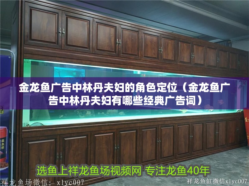 魚缸過濾器選購指南:自制魚缸過濾器魚缸上置過濾器對于養魚愛好者的必備知識 金龍魚廣告中林丹夫婦的角色定位(金龍魚廣告中林丹夫婦有哪些經典廣告詞) 龍魚百科 金龍魚廣告中林丹夫婦的角色定位(金龍魚廣告中林丹夫婦有哪些經典廣告詞) 金龍魚廣告中林丹夫婦的角色定位(金龍魚廣告中林丹夫婦有哪些經典廣告詞) 龍魚百科