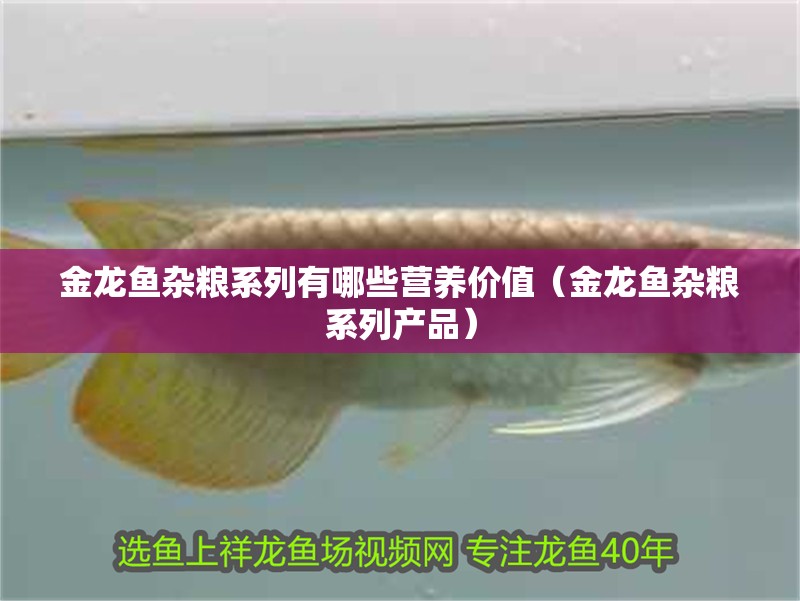 金龍魚雜糧系列有哪些營養(yǎng)價(jià)值（金龍魚雜糧系列產(chǎn)品）