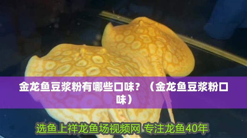 魚缸過濾器選購指南:自制魚缸過濾器魚缸上置過濾器對于養(yǎng)魚愛好者的必備知識 金龍魚豆?jié){粉有哪些口味?(金龍魚豆?jié){粉口味) 龍魚百科 金龍魚豆?jié){粉有哪些口味?(金龍魚豆?jié){粉口味) 金龍魚豆?jié){粉有哪些口味?(金龍魚豆?jié){粉口味) 龍魚百科