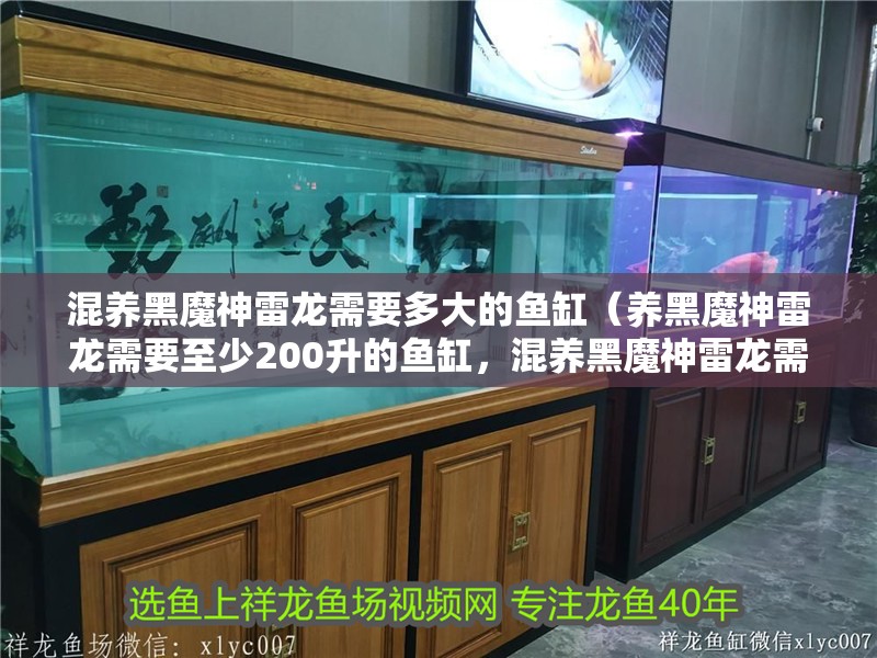 混養黑魔神雷龍需要多大的魚缸（養黑魔神雷龍需要至少200升的魚缸，混養黑魔神雷龍需要哪些特殊設備）