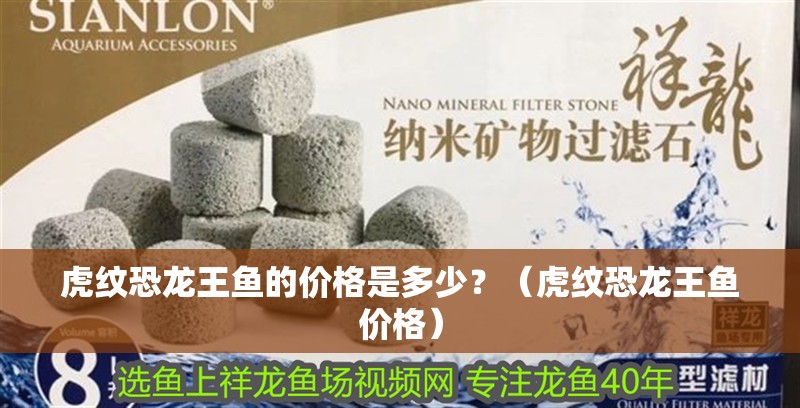 虎紋恐龍王魚(yú)的價(jià)格是多少？（虎紋恐龍王魚(yú)價(jià)格）