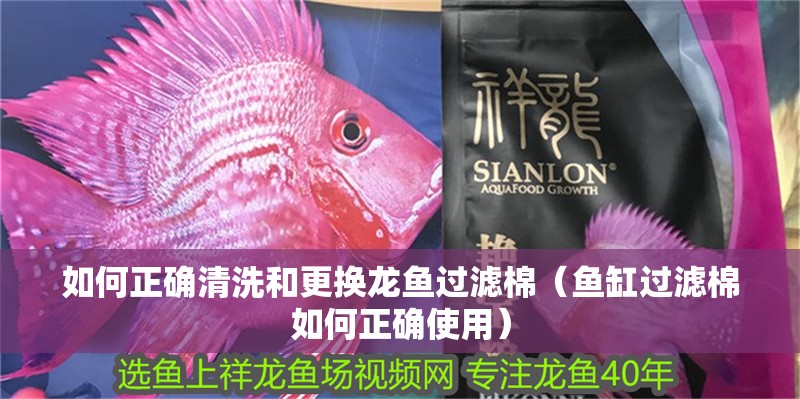 如何正確清洗和更換龍魚過濾棉（魚缸過濾棉如何正確使用）