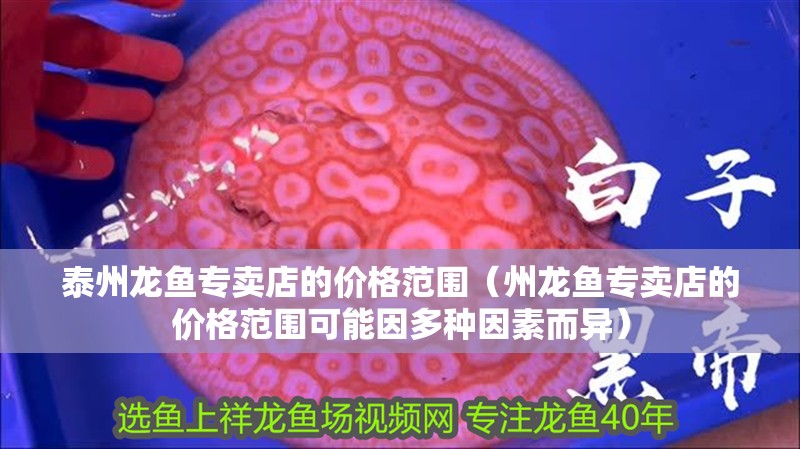 泰州龍魚專賣店的價格范圍（州龍魚專賣店的價格范圍可能因多種因素而異）