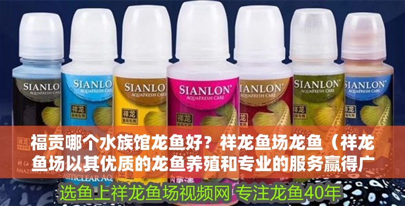福貢哪個水族館龍魚好？祥龍魚場龍魚（祥龍魚場以其優質的龍魚養殖和專業的服務贏得廣大游客喜愛）