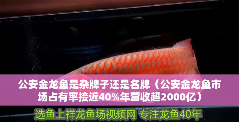 <strong><mark>公安</mark></strong>金龍魚是雜牌子還是名牌（<strong><mark>公安</mark></strong>金龍魚市場占有率接近40%年營收超2000億）