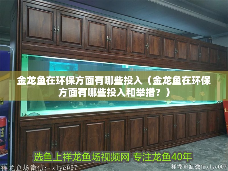 金龍魚在環保方面有哪些投入（金龍魚在環保方面有哪些投入和舉措？）