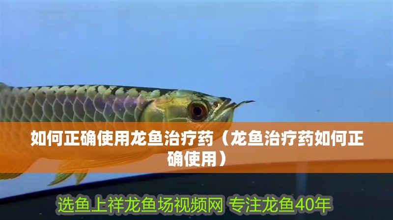 如何正確使用龍魚治療藥（龍魚治療藥如何正確使用）