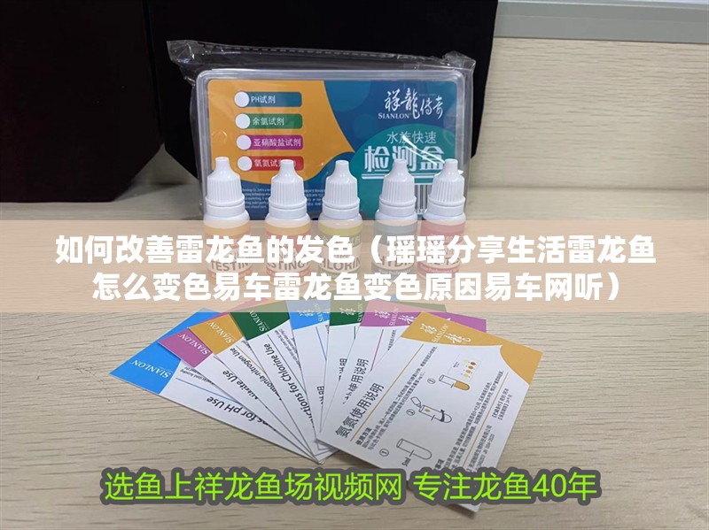 如何改善雷龍魚的發色（瑤瑤分享生活雷龍魚怎么變色易車雷龍魚變色原因易車網聽） 如何改善雷龍魚的發色（瑤瑤分享生活雷龍魚怎么變色易車雷龍魚變色原因易車網聽） 龍魚百科