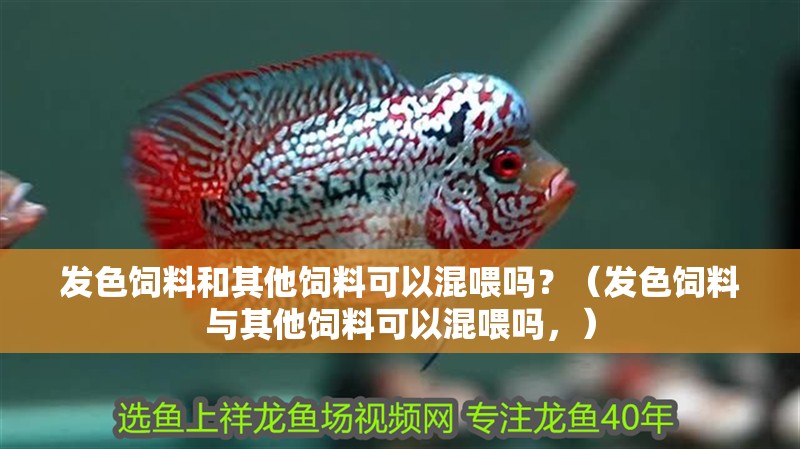 發色飼料和其他飼料可以混喂嗎？（發色飼料與其他飼料可以混喂嗎，）