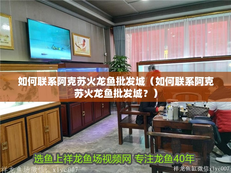 如何聯系阿克蘇火龍魚批發城（如何聯系阿克蘇火龍魚批發城？） 如何聯系阿克蘇火龍魚批發城（如何聯系阿克蘇火龍魚批發城？） 龍魚百科