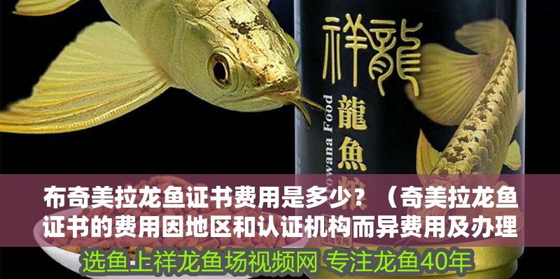 布奇美拉龍魚證書費(fèi)用是多少？（奇美拉龍魚證書的費(fèi)用因地區(qū)和認(rèn)證機(jī)構(gòu)而異費(fèi)用及辦理流程）