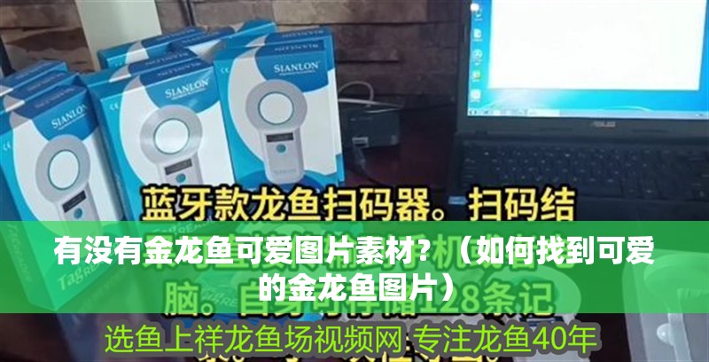 有沒有金龍魚可愛圖片素材？（如何找到可愛的金龍魚圖片）