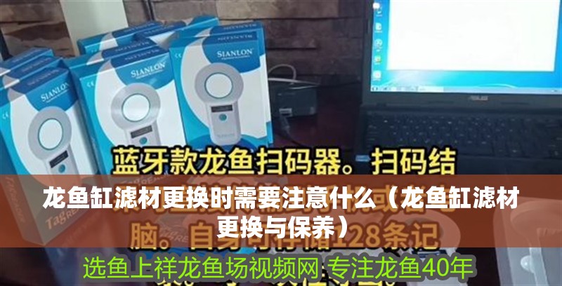 龍魚缸濾材更換時需要注意什么（龍魚缸濾材更換與保養）