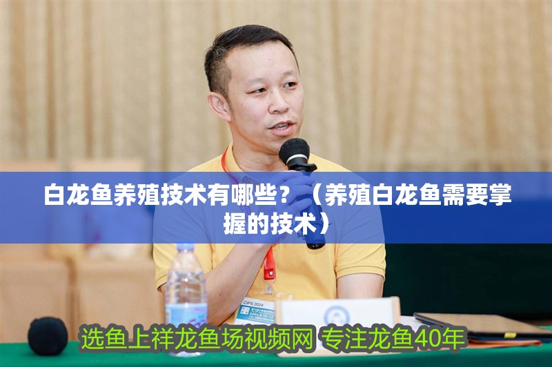 白龍魚(yú)養(yǎng)殖技術(shù)有哪些？（養(yǎng)殖白龍魚(yú)需要掌握的技術(shù)） 白龍魚(yú)養(yǎng)殖技術(shù)有哪些？（養(yǎng)殖白龍魚(yú)需要掌握的技術(shù)） 龍魚(yú)百科