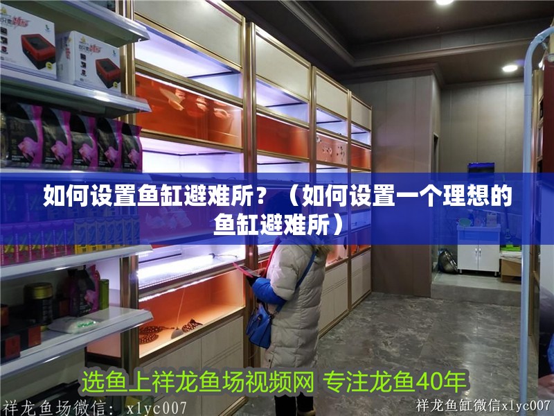 如何設置魚缸避難所？（如何設置一個理想的魚缸避難所）