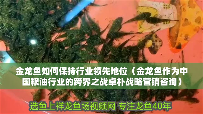 金龍魚如何保持行業(yè)領先地位（金龍魚作為中國糧油行業(yè)的跨界之戰(zhàn)卓樸戰(zhàn)略營銷咨詢） 金龍魚如何保持行業(yè)領先地位（金龍魚作為中國糧油行業(yè)的跨界之戰(zhàn)卓樸戰(zhàn)略營銷咨詢） 龍魚百科