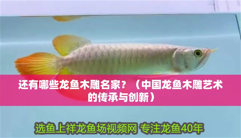 還有哪些龍魚木雕名家？（中國龍魚木雕藝術的傳承與創(chuàng)新）