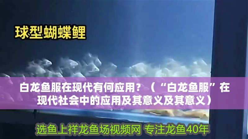 白龍魚服在現代有何應用？（“白龍魚服”在現代社會中的應用及其意義及其意義）