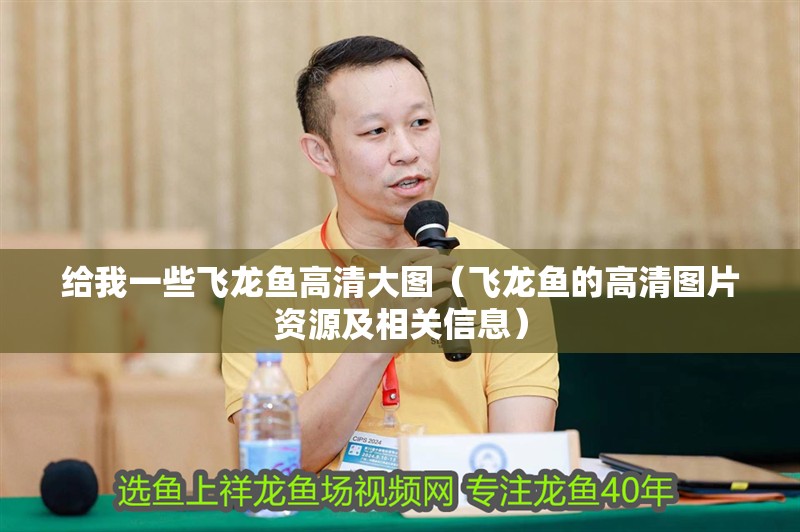 給我一些飛龍魚高清大圖（飛龍魚的高清圖片資源及相關(guān)信息）