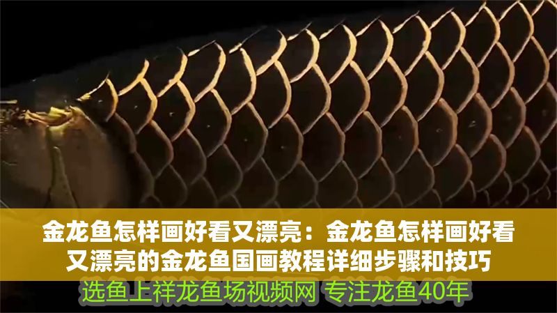 金龍魚怎樣畫好看又漂亮：金龍魚怎樣畫好看又漂亮的金龍魚國畫教程詳細(xì)步驟和技巧
