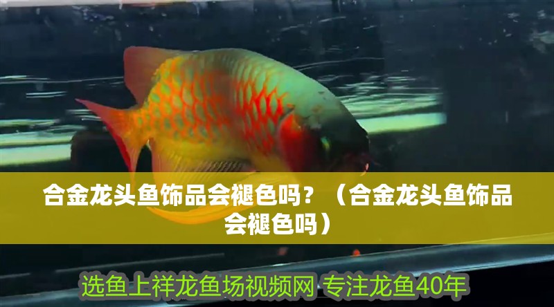 合金龍頭魚飾品會褪色嗎？（合金龍頭魚飾品會褪色嗎） 合金龍頭魚飾品會褪色嗎？（合金龍頭魚飾品會褪色嗎） 龍魚百科