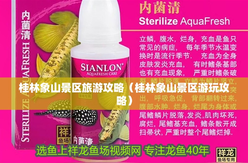 桂林象山景區(qū)旅游攻略（桂林象山景區(qū)游玩攻略）