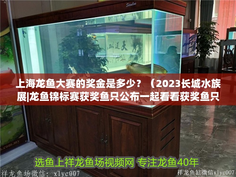 <strong><mark>上海</mark></strong>龍魚大賽的獎(jiǎng)金是多少？（2023長城水族展|龍魚錦標(biāo)賽獲獎(jiǎng)魚只公布一起看看獲獎(jiǎng)魚只的風(fēng)采）