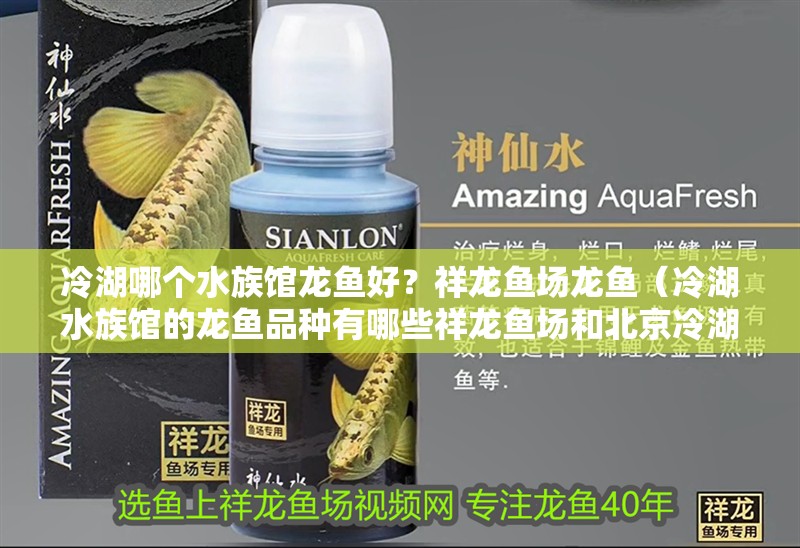 <strong><mark>冷湖</mark></strong>哪個(gè)水族館龍魚好？祥龍魚場龍魚（<strong><mark>冷湖</mark></strong>水族館的龍魚品種有哪些祥龍魚場和北京<strong><mark>冷湖</mark></strong>水族館哪個(gè)好）
