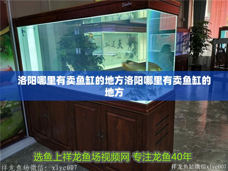 洛陽哪里有賣魚缸的地方洛陽哪里有賣魚缸的地方