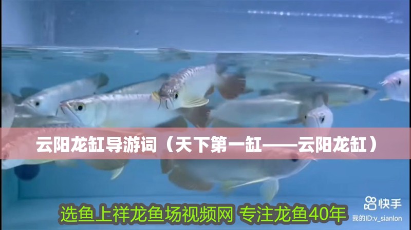 云陽龍缸導(dǎo)游詞（天下第一缸——云陽龍缸）