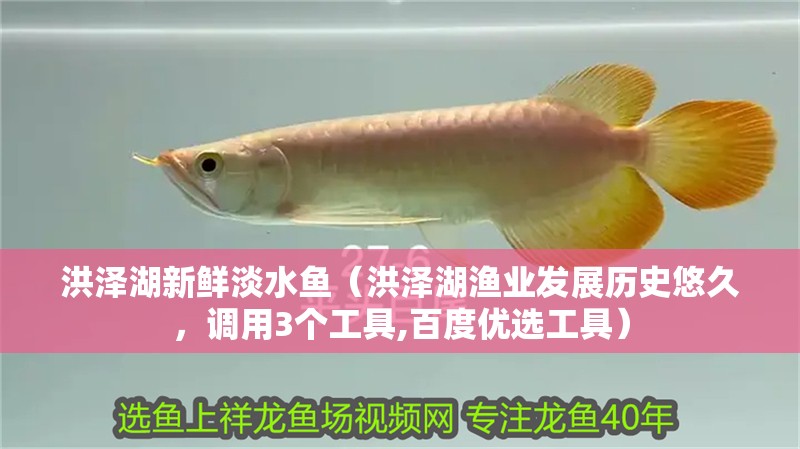 洪澤湖新鮮淡水魚（洪澤湖漁業發展歷史悠久，調用3個工具,百度優選工具）