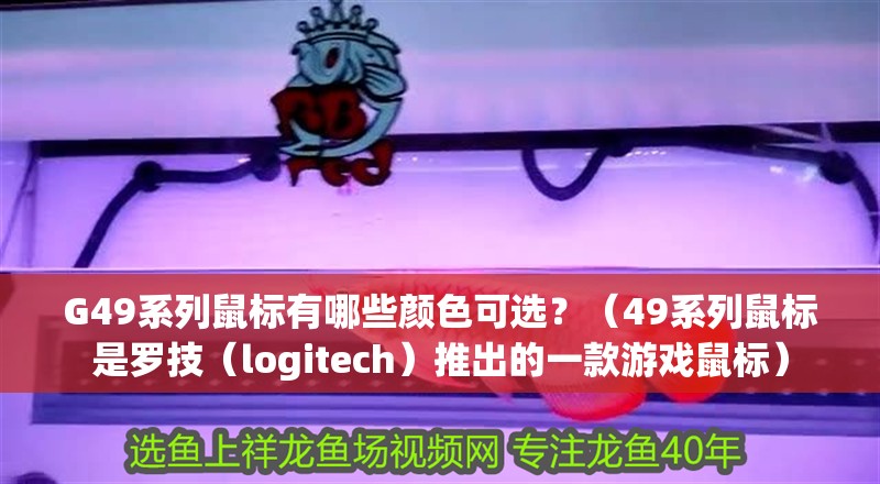 G49系列鼠標有哪些顏色可選？（49系列鼠標是羅技（logitech）推出的一款游戲鼠標）