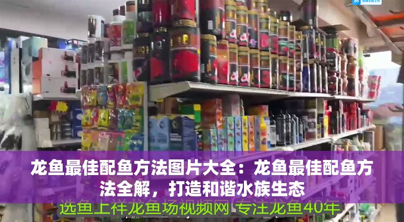 龍魚(yú)最佳配魚(yú)方法圖片大全：龍魚(yú)最佳配魚(yú)方法全解，打造和諧水族生態(tài)
