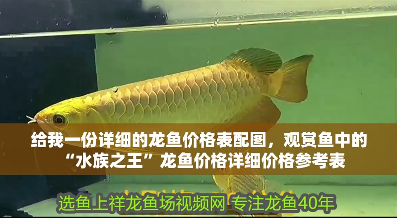 給我一份詳細的龍魚價格表配圖，觀賞魚中的“水族之王”龍魚價格詳細價格參考表