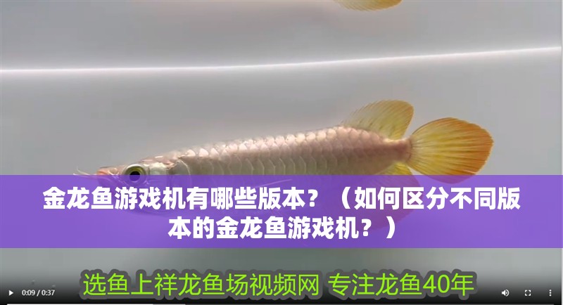 金龍魚游戲機有哪些版本？（如何區分不同版本的金龍魚游戲機？）