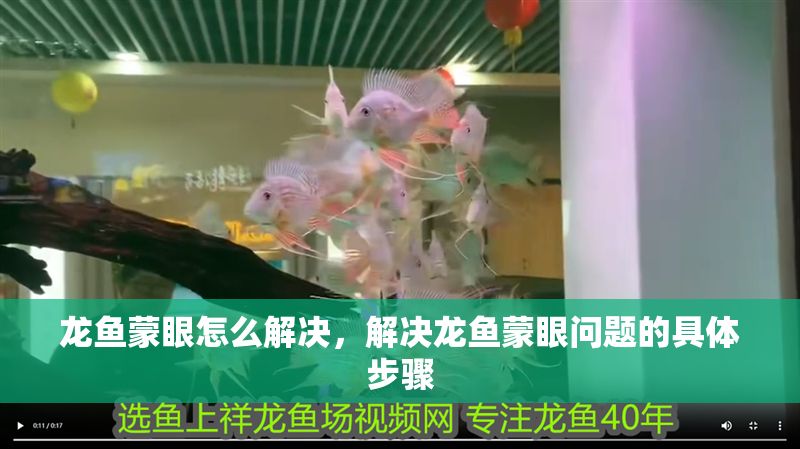 龍魚蒙眼怎么解決，解決龍魚蒙眼問題的具體步驟