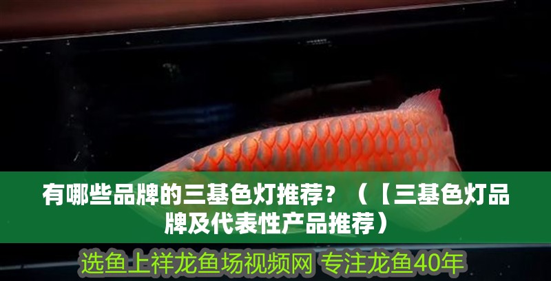 有哪些品牌的三基色燈推薦？（【三基色燈品牌及代表性產品推薦）