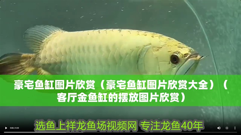 豪宅魚缸圖片欣賞（豪宅魚缸圖片欣賞大全）（客廳金魚缸的擺放圖片欣賞） 豪宅魚缸圖片欣賞（豪宅魚缸圖片欣賞大全）（客廳金魚缸的擺放圖片欣賞） 觀賞魚百科