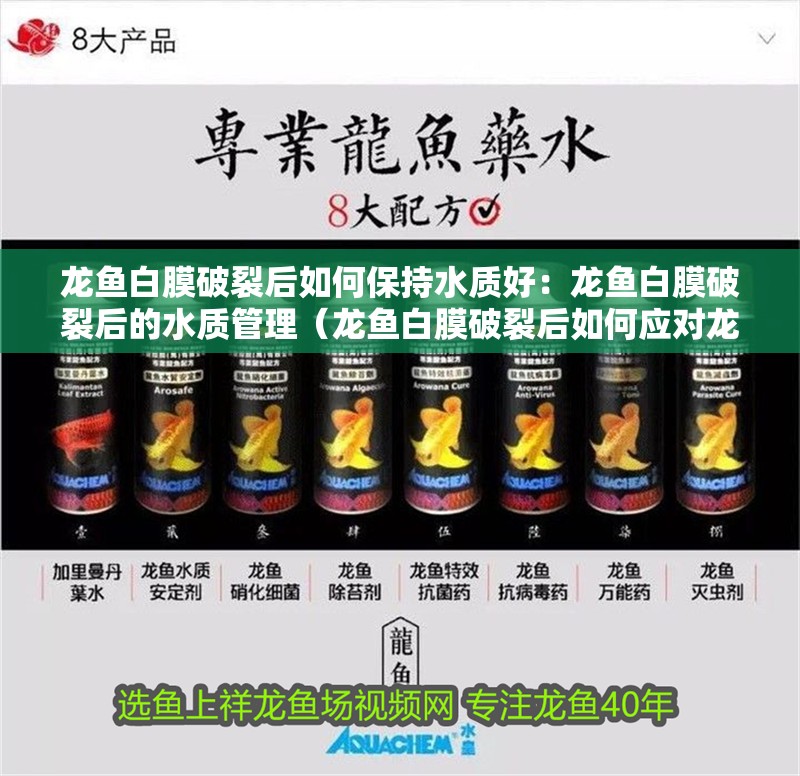 龍魚白膜破裂后如何保持水質好：龍魚白膜破裂后的水質管理（龍魚白膜破裂后如何應對龍魚白膜破裂后如何保持水質管理）