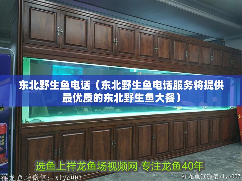 龍魚干蝦有營養嗎 東北野生魚電話(東北野生魚電話服務將提供最優質的東北野生魚大餐) 觀賞魚百科 東北野生魚電話(東北野生魚電話服務將提供最優質的東北野生魚大餐) 東北野生魚電話(東北野生魚電話服務將提供最優質的東北野生魚大餐) 觀賞魚百科