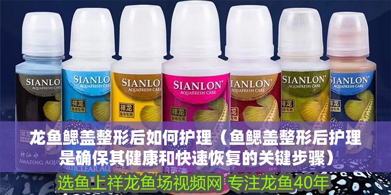 龍魚鰓蓋整形后如何護理（魚鰓蓋整形后護理是確保其健康和快速恢復的關鍵步驟）