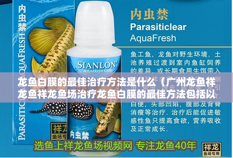 魚缸用增氧泵價格是多少:魚缸增氧機-xtrac增氧機-xtrac增氧機 龍魚白膜的最佳治療方法是什么(廣州龍魚祥龍魚祥龍魚場治療龍魚白膜的最佳方法包括以下幾個方面) 龍魚百科 龍魚白膜的最佳治療方法是什么(廣州龍魚祥龍魚祥龍魚場治療龍魚白膜的最佳方法包括以下幾個方面) 龍魚白膜的最佳治療方法是什么(廣州龍魚祥龍魚祥龍魚場治療龍魚白膜的最佳方法包括以下幾個方面) 龍魚百科