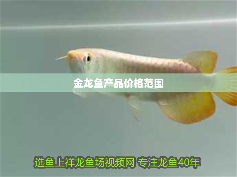 金龍魚產(chǎn)品價(jià)格范圍
