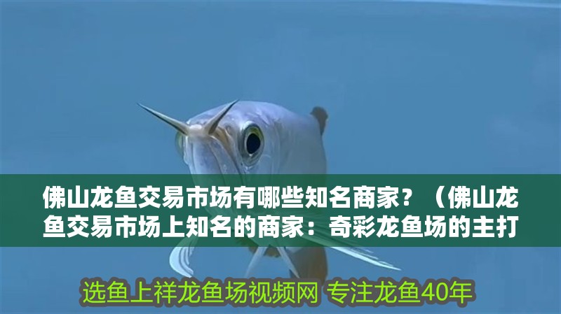 <strong><mark>佛山</mark></strong>龍魚交易市場有哪些知名商家？（<strong><mark>佛山</mark></strong>龍魚交易市場上知名的商家：奇彩龍魚場的主打品種）