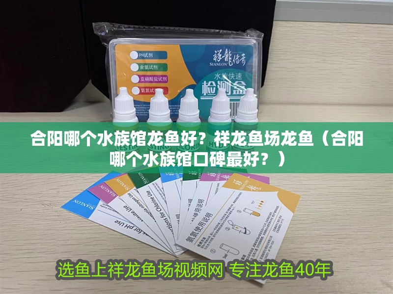 合陽哪個(gè)水族館龍魚好？祥龍魚場(chǎng)龍魚（合陽哪個(gè)水族館口碑最好？） 合陽哪個(gè)水族館龍魚好？祥龍魚場(chǎng)龍魚（合陽哪個(gè)水族館口碑最好？） 龍魚百科